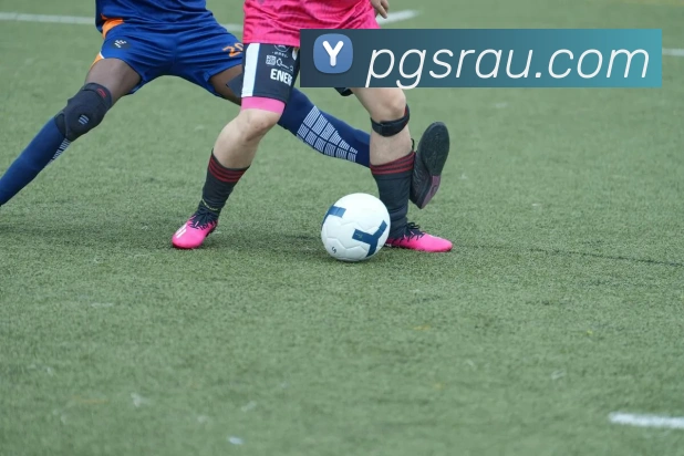 澳门新葡京官方入口APP 高清赛事图